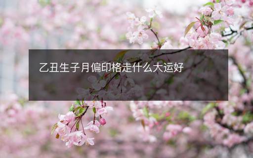 乙丑生子月偏印格走什么大运好