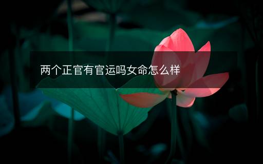 两个正官有官运吗女命怎么样