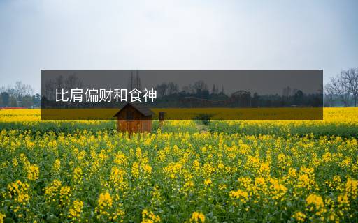 比肩偏财和食神