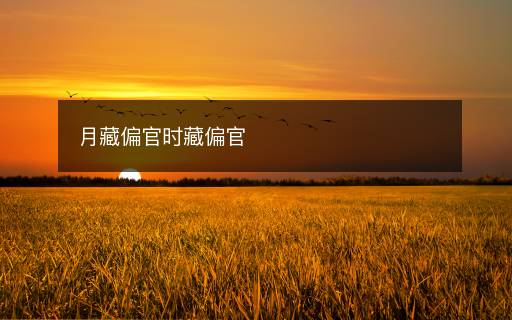 月藏偏官时藏偏官