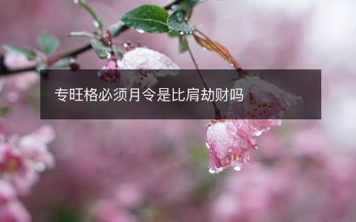 专旺格必须月令是比肩劫财吗