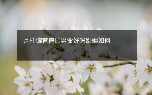 月柱偏官偏印男命好吗婚姻如何