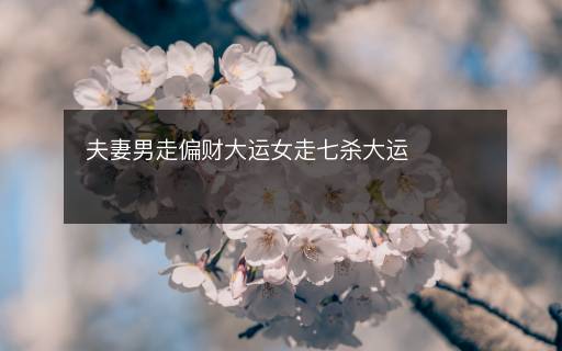 夫妻男走偏财大运女走七杀大运