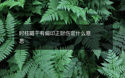 时柱藏干有偏印正财伤官什么意思