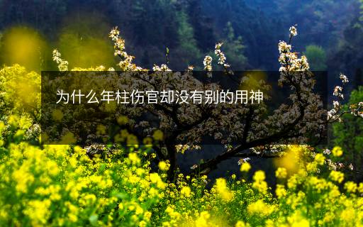 为什么年柱伤官却没有别的用神