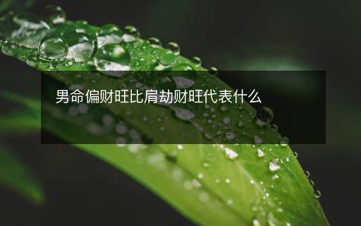 男命偏财旺比肩劫财旺代表什么 男命偏财旺比肩劫财旺代表什么