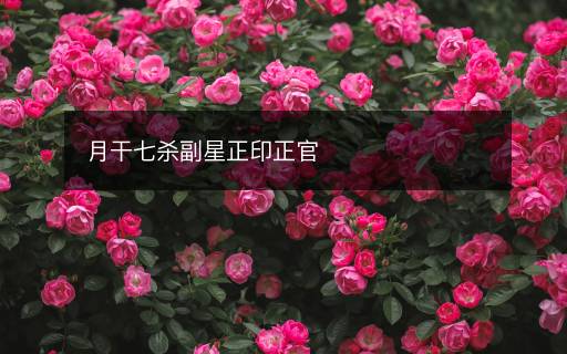 月干七杀副星正印正官