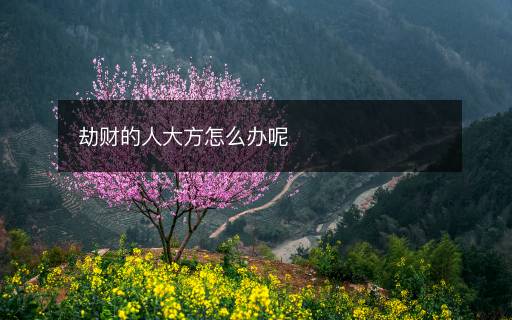 劫财的人大方怎么办呢 劫财的人大方怎么办呢