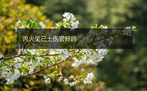 丙火见己土伤官好吗