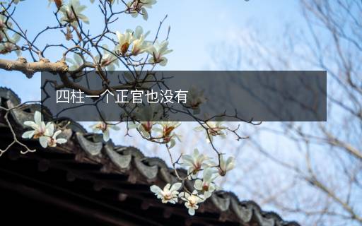 四柱一个正官也没有