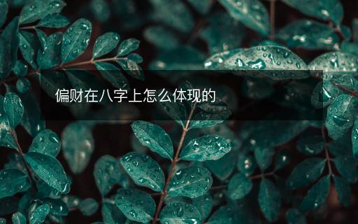 偏财在八字上怎么体现的