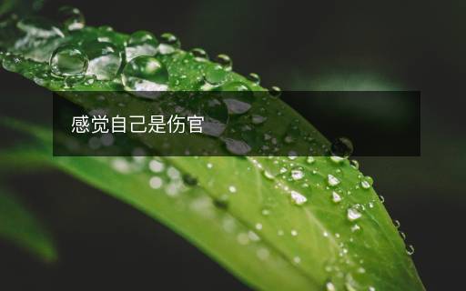 感觉自己是伤官