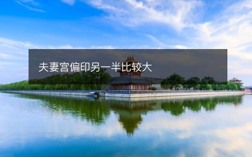 夫妻宫偏印另一半比较大