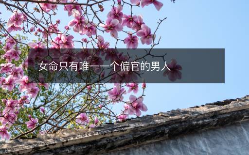 女命只有唯一一个偏官的男人