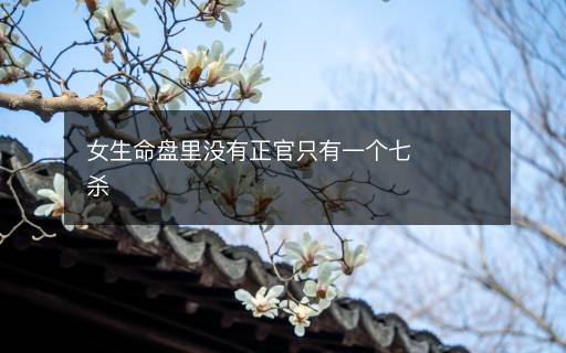 女生命盘里没有正官只有一个七杀