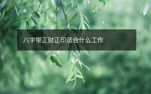 八字带正财正印适合什么工作