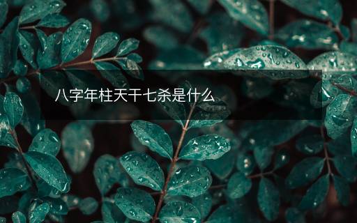 八字年柱天干七杀是什么