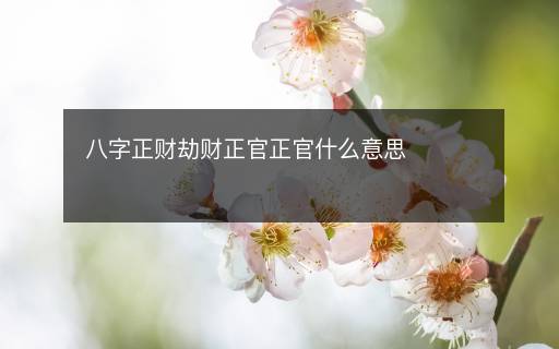 八字正财劫财正官正官什么意思