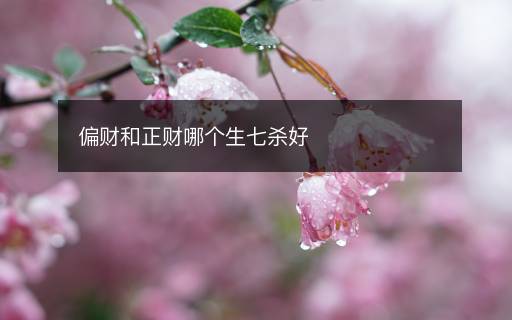 偏财和正财哪个生七杀好 偏财和正财哪个生七杀好