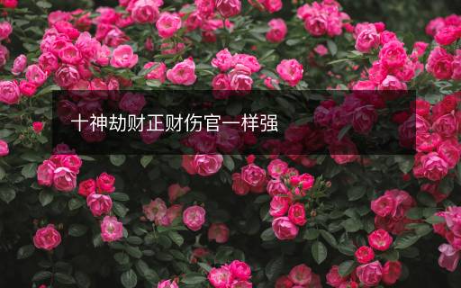 十神劫财正财伤官一样强