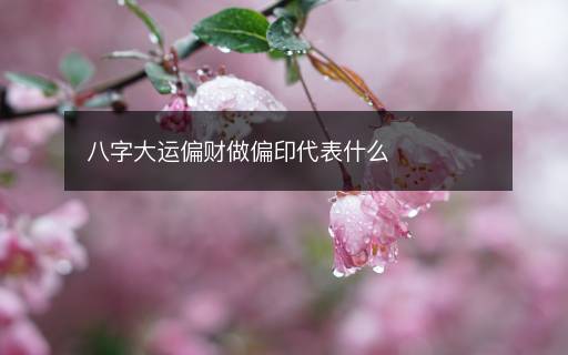 八字大运偏财做偏印代表什么