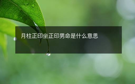 月柱正印坐正印男命是什么意思