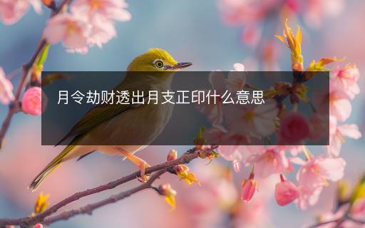 月令劫财透出月支正印什么意思