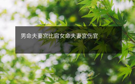 男命夫妻宫比肩女命夫妻宫伤官