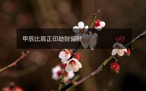 甲辰比肩正印劫财偏财