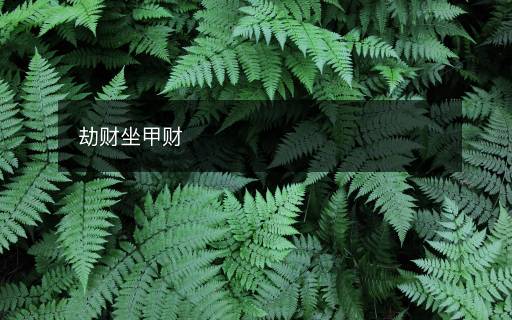 劫财坐甲财
