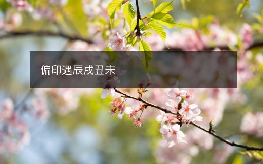 偏印遇辰戌丑未