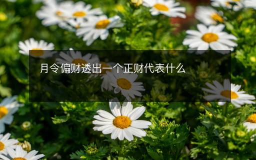 月令偏财透出一个正财代表什么