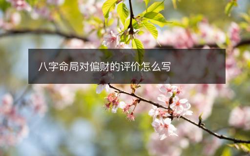 八字命局对偏财的评价怎么写