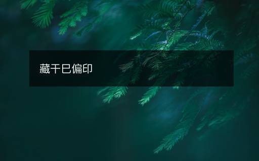 藏干巳偏印