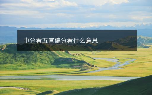 中分看五官偏分看什么意思