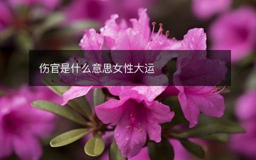 伤官是什么意思女性大运