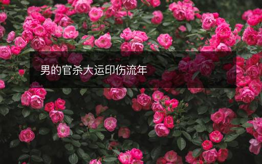 男的官杀大运印伤流年