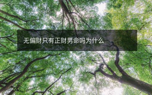 无偏财只有正财男命吗为什么