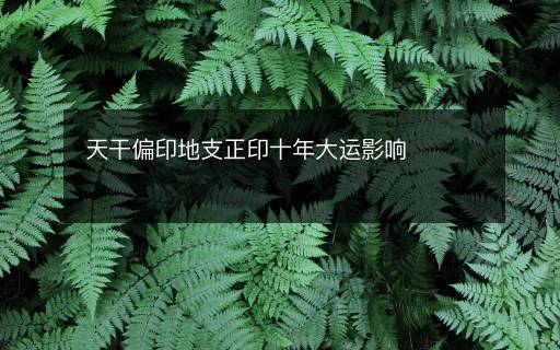 天干偏印地支正印十年大运影响
