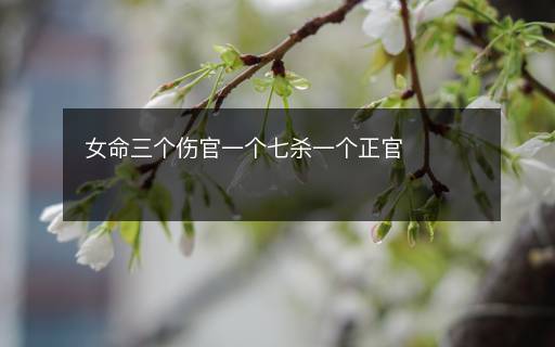 女命三个伤官一个七杀一个正官