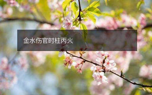 金水伤官时柱丙火