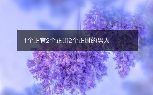 1个正官2个正印2个正财的男人 1个正官2个正印2个正财的男人