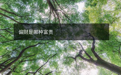 偏财是哪种富贵