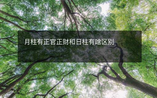月柱有正官正财和日柱有啥区别 月柱有正官正财和日柱有啥区别