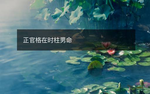 正官格在时柱男命