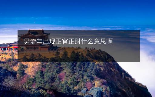 男流年出现正官正财什么意思啊