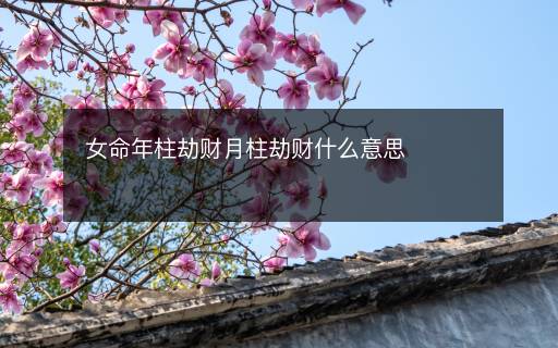 女命年柱劫财月柱劫财什么意思