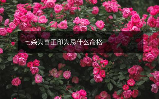 七杀为喜正印为忌什么命格