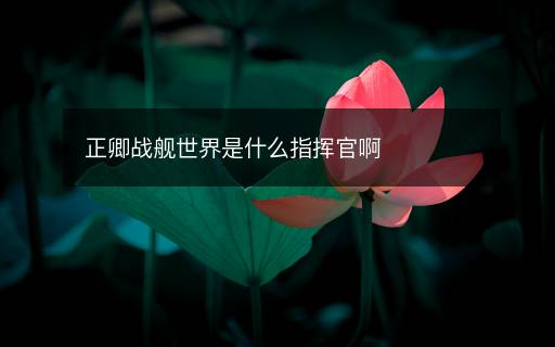 正卿战舰世界是什么指挥官啊 正卿战舰世界是什么指挥官啊