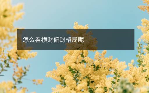 怎么看横财偏财格局呢